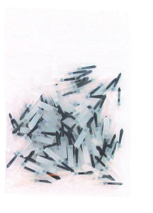 Unguisan Applicatie Kwastje 100st