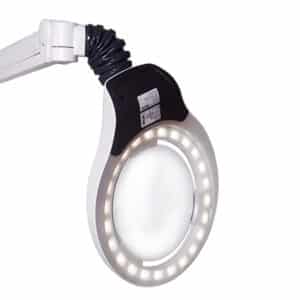 Circus LED loeplamp 5.0 D 1