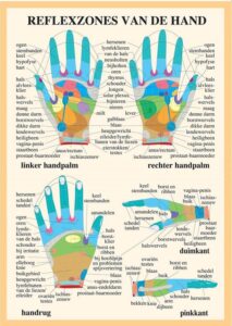 Poster Reflexzone hand/voet A2 1