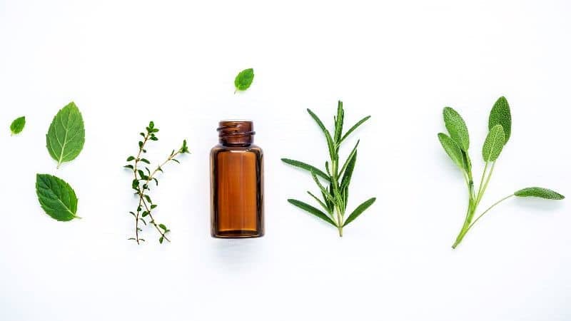 Pedicure aromatherapie